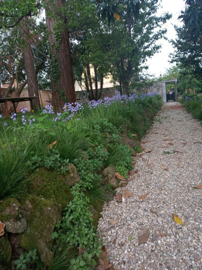 B&B Villa Gualterio Больсена Экстерьер фото